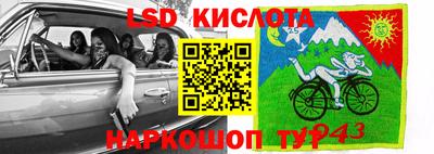 гашик Бузулук