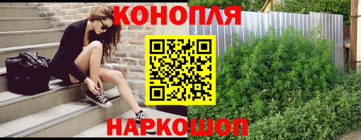 Шишки марихуана тримм  Бошки Шишки OG Kush  Первоуральск  Вход с VPN  Бошки марихуана семена 